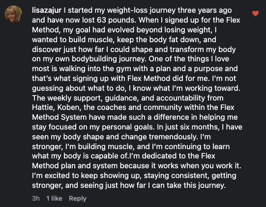 Comment from lisazajur